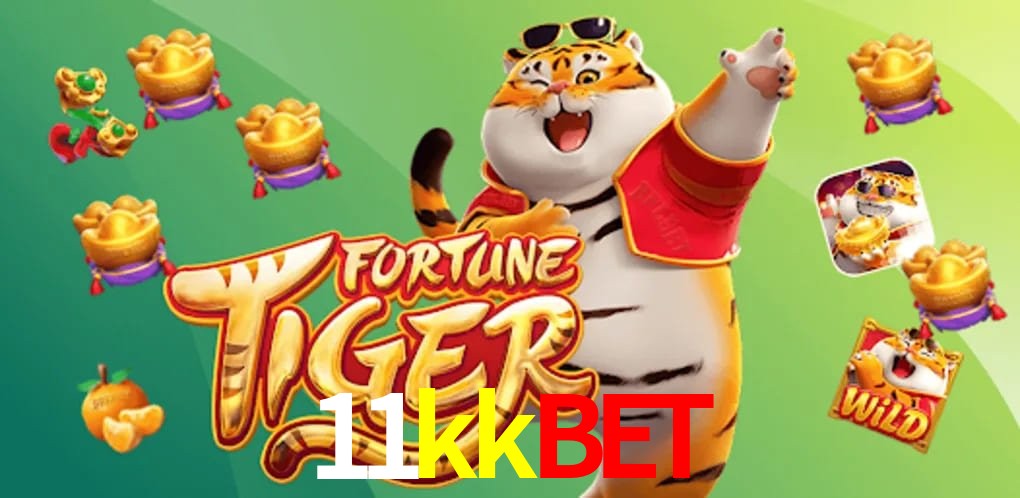 Security Systems 11kkbet